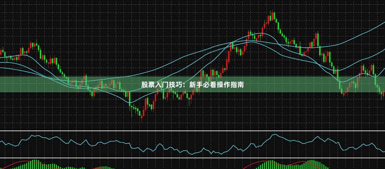 股票入门技巧：新手必看操作指南